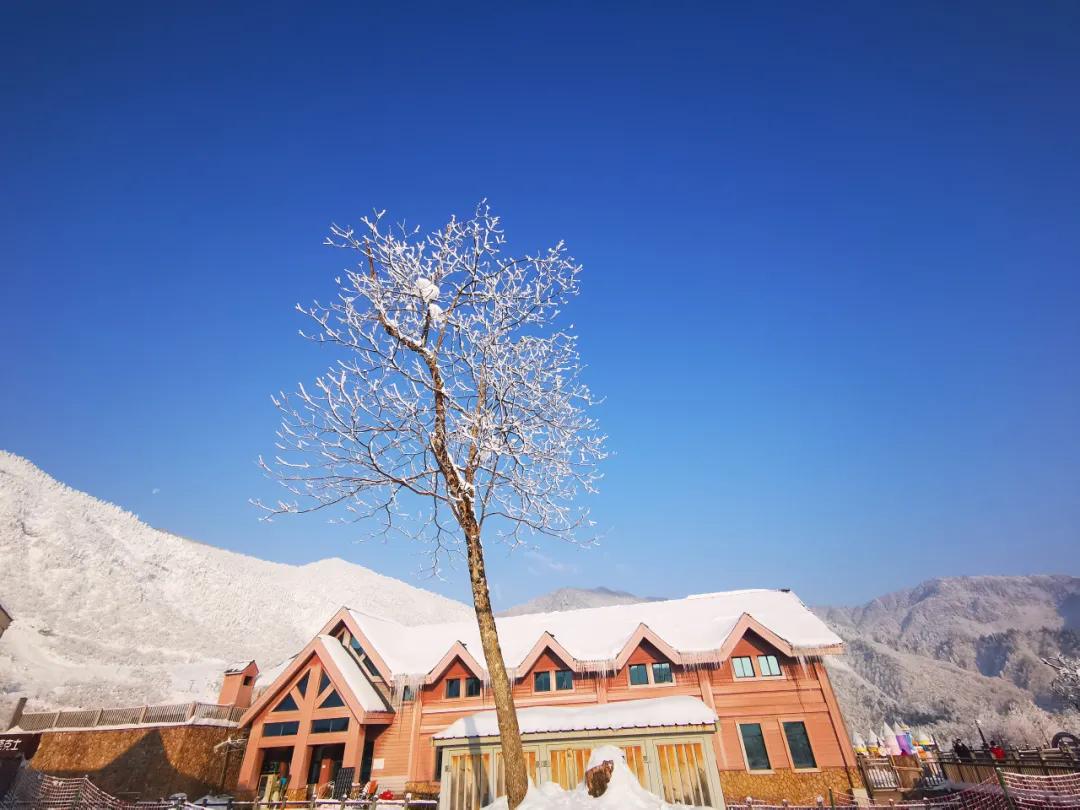 西岭雪山5月份适不适合去,西岭雪山旅游攻略大连
