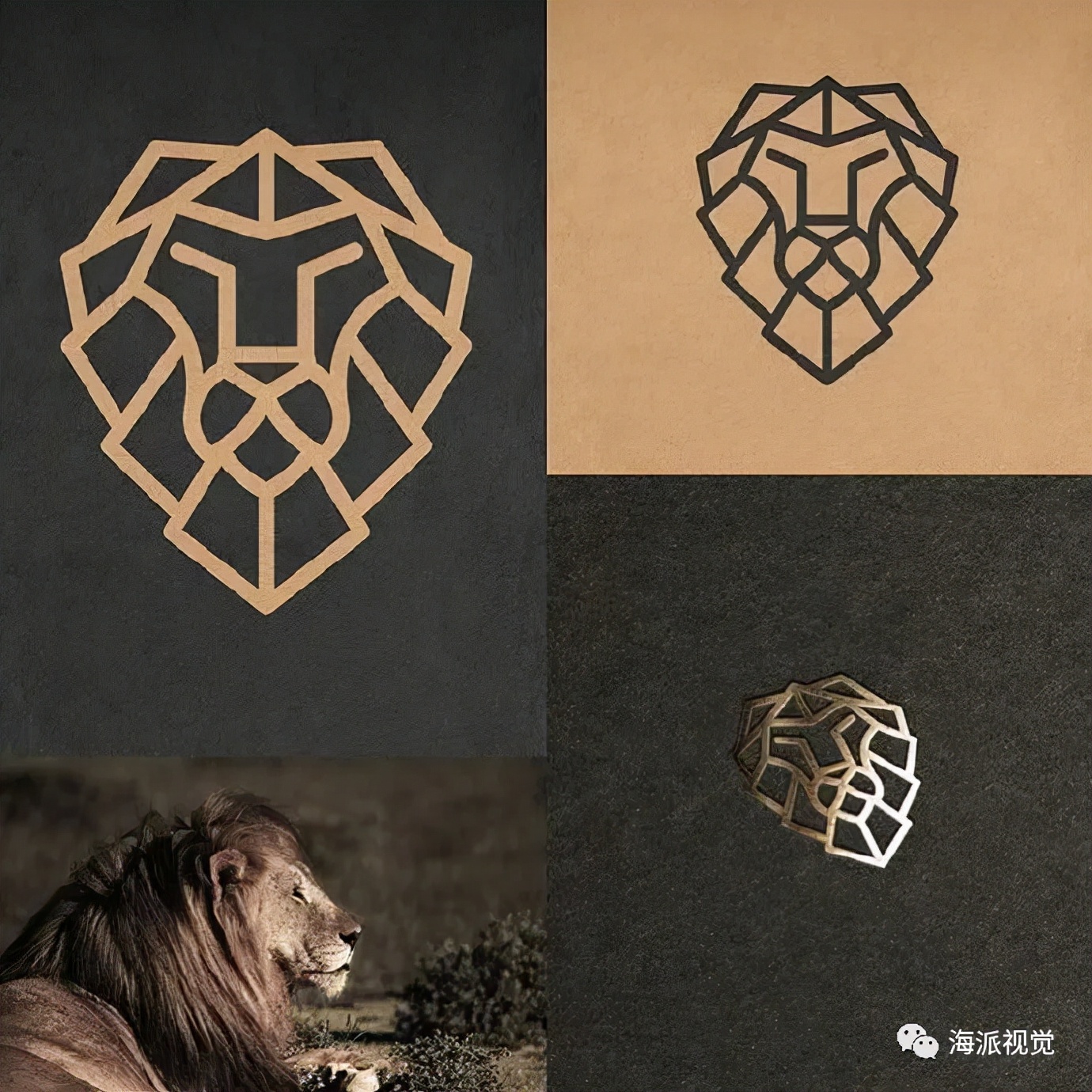 logo设计寻找灵感的网站,国内可以上的logo设计灵感网站