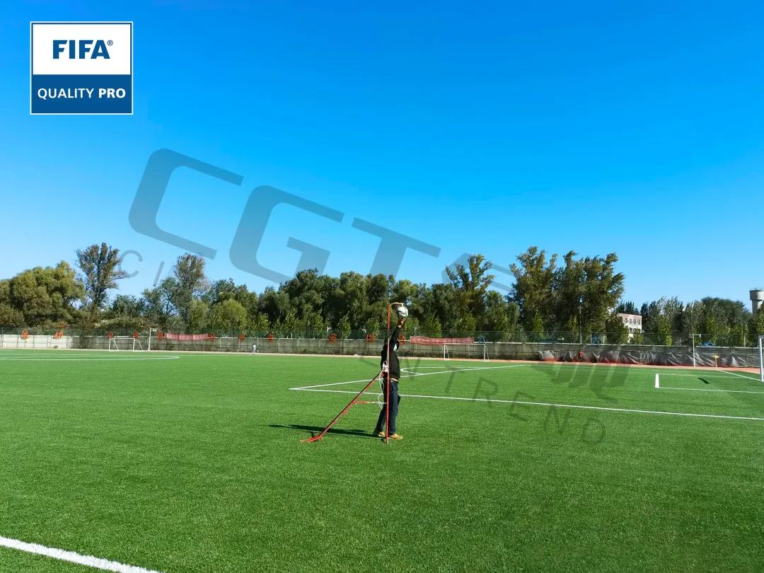 cgt缁垮煄鑻辫秴,cgt缁垮煄浣撹偛浜т笟闆嗗洟