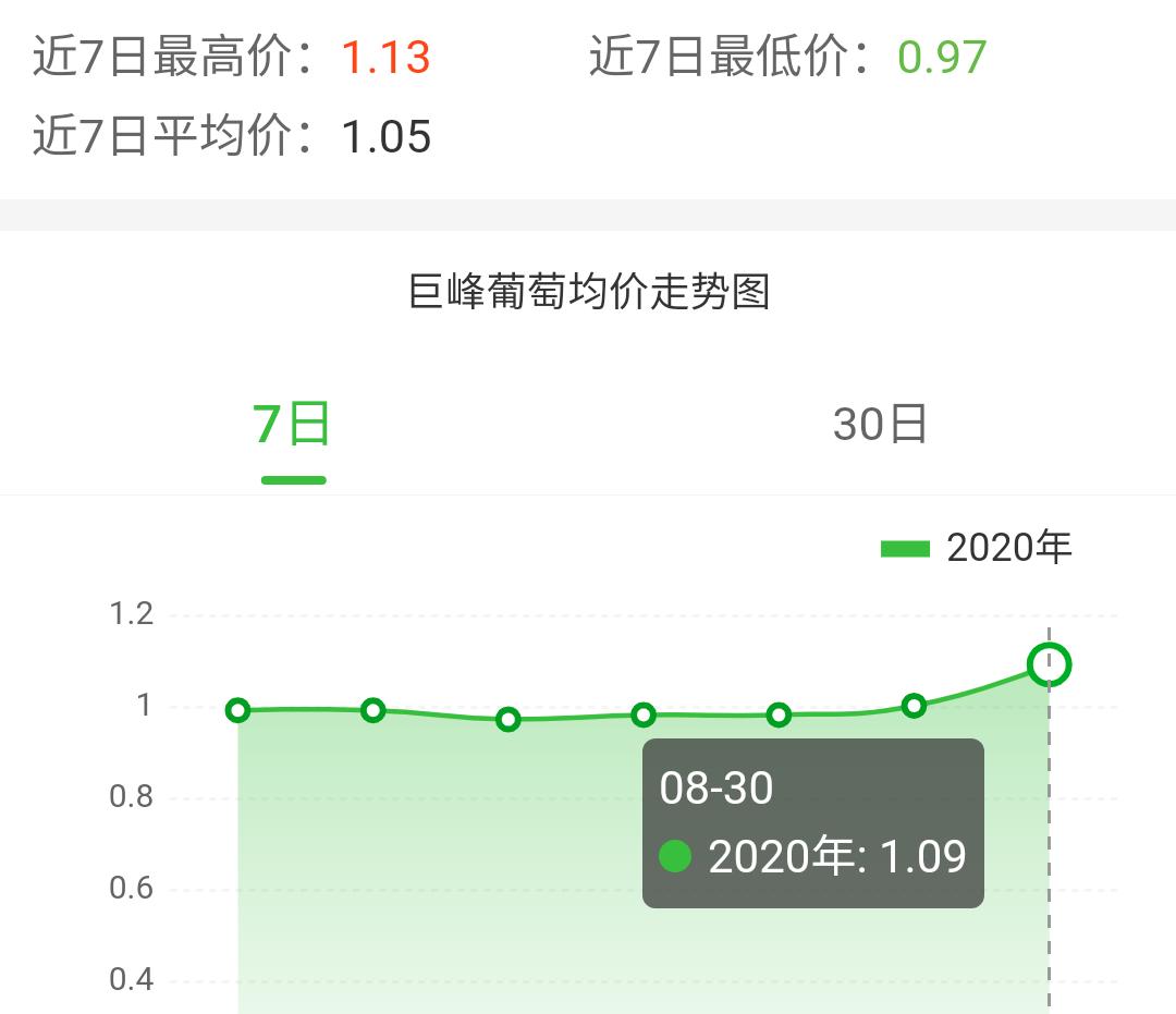 巨峰葡萄目前销售状况,巨峰葡萄的收购价为什么那么高