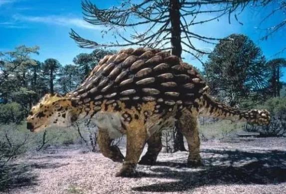 一亿年前的恐龙吃了什么？科学家打开了恐龙的胃，一探究竟