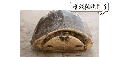 割包皮能当天做当天走吗,割包皮当天去医院当天就能割吗