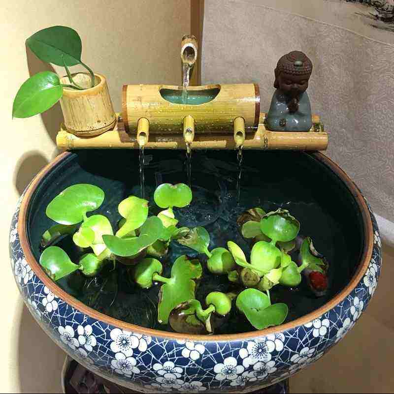 老式水缸种花一定要打孔吗,旧水缸种花怎样打孔