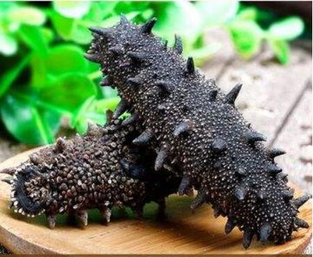 干大连海参的吃法,大连深海高刺淡干海参的吃法