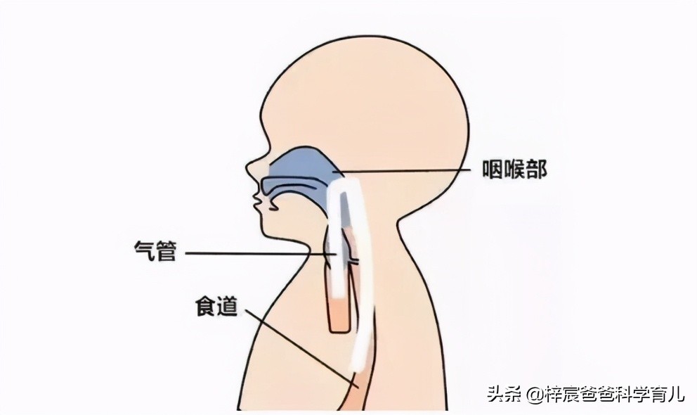 宝宝吐奶太严重急死人,出生十几天婴儿吐奶怎么办