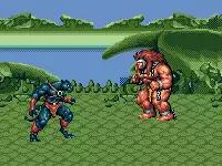 md战棋游戏,md双人游戏