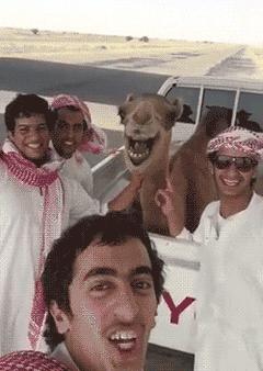 搞笑的gif动图辣眼睛啊,搞笑gif这次应该能吃回本了吧