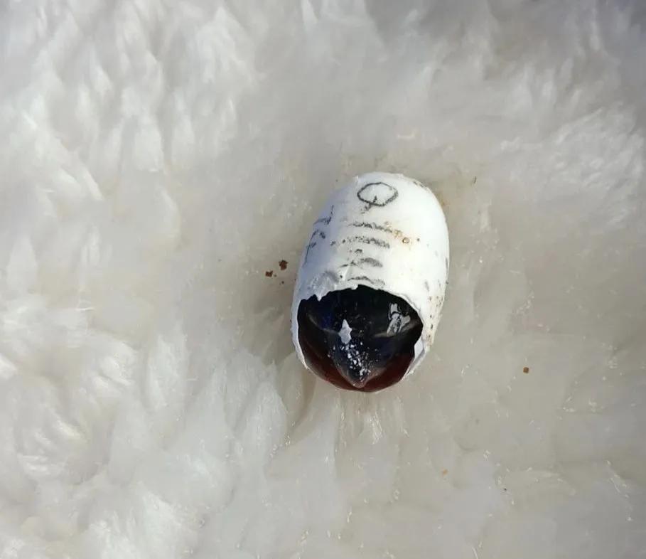 minimonster杭州,minimonster绘本