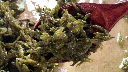 茶香虾用什么配方做的好吃,淮北龙井茶香虾配方