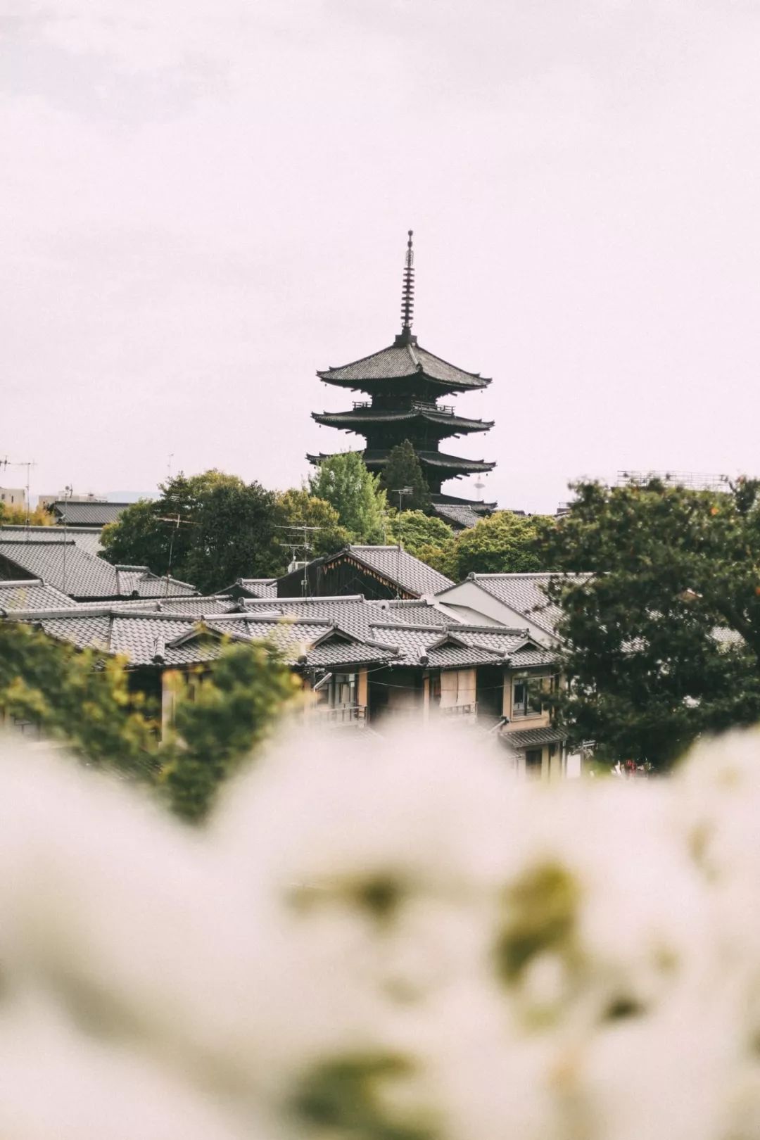 去国外哪里的机票最便宜,从国内到国外最便宜的机票