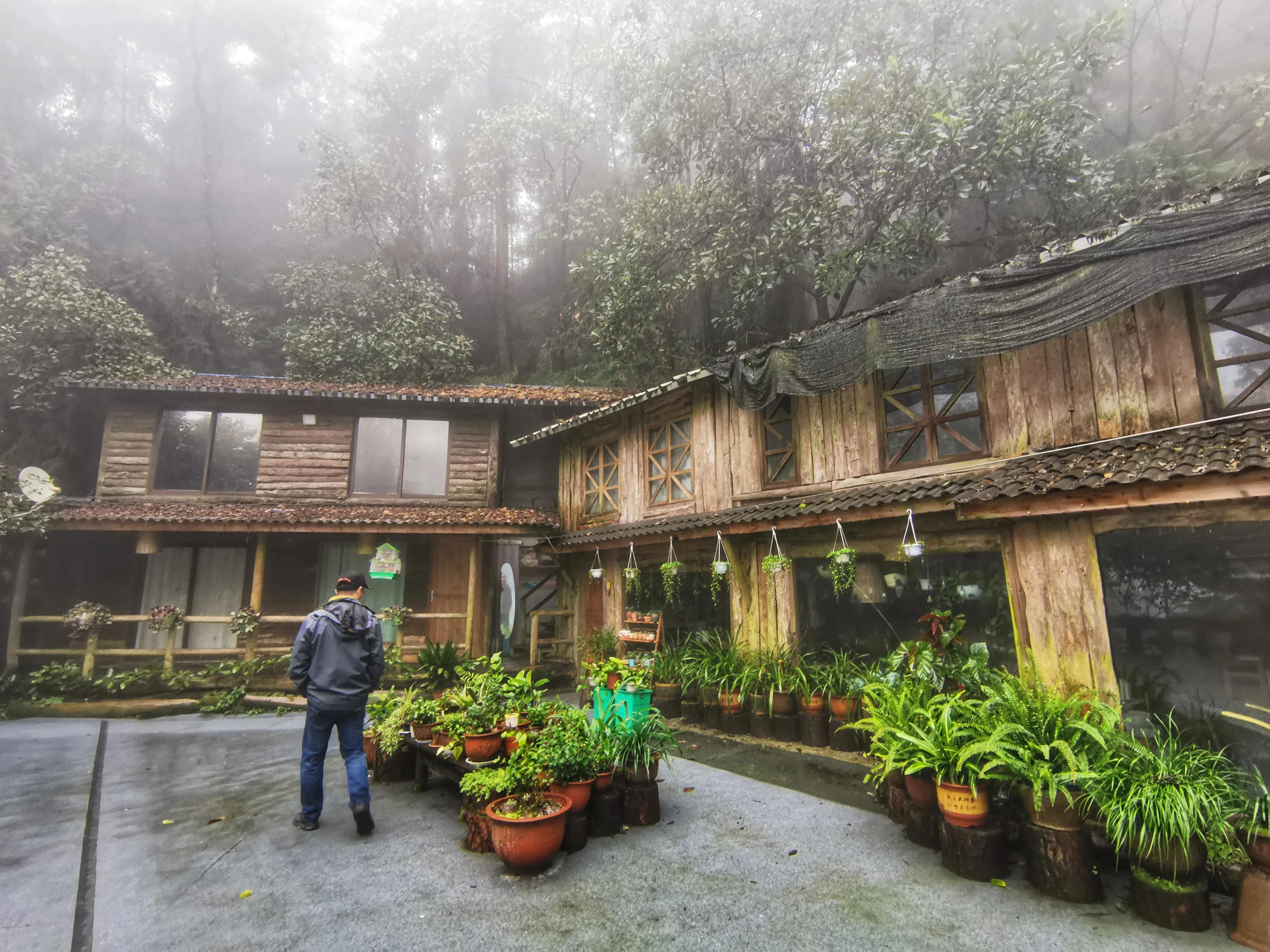 铜梁巴岳山森林木屋,巴岳山树屋