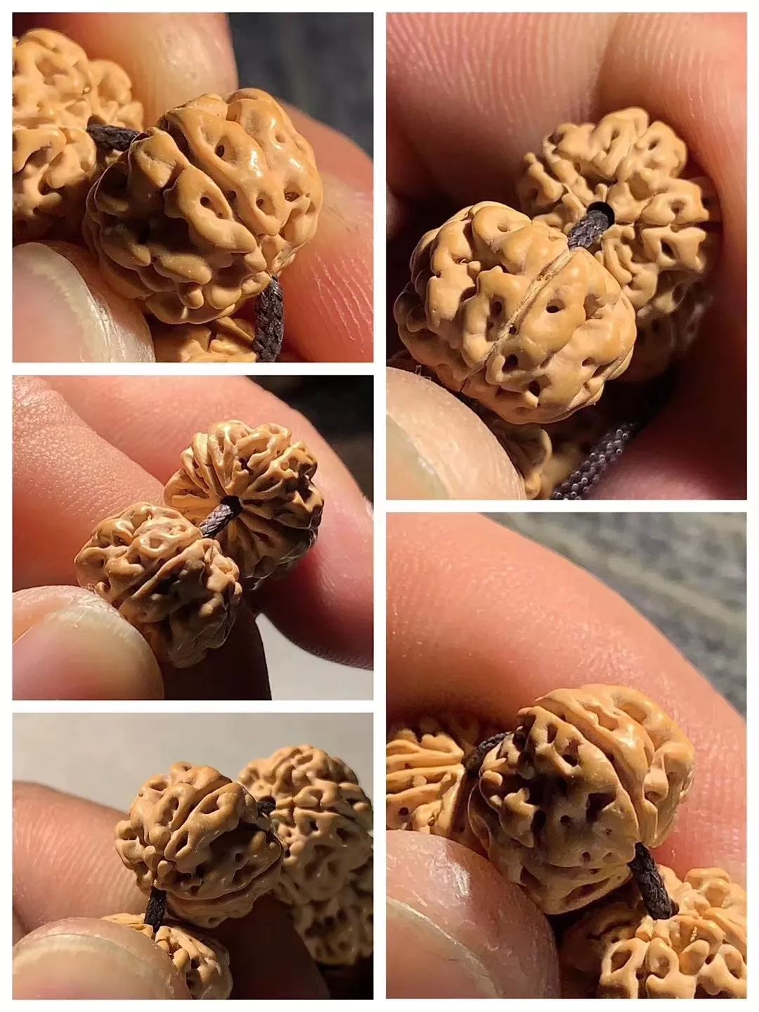 小金刚菩提梅花纹路什么价位,小金刚菩提什么纹路的最好