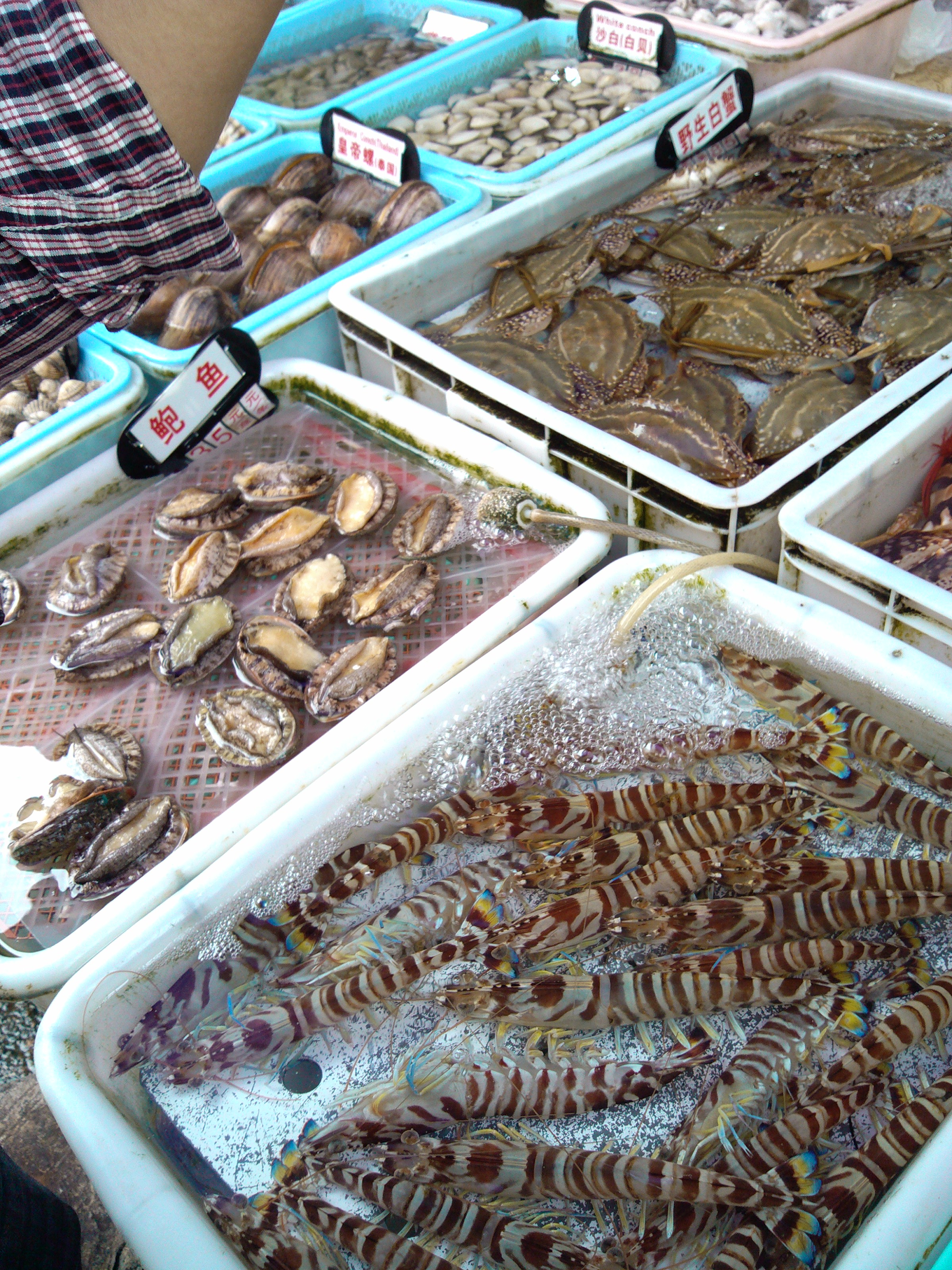 珠海石景山公园攻略,珠海澳门环岛游时间表