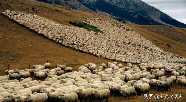 新西兰是地球最后的净土吗,新西兰十大未解之谜