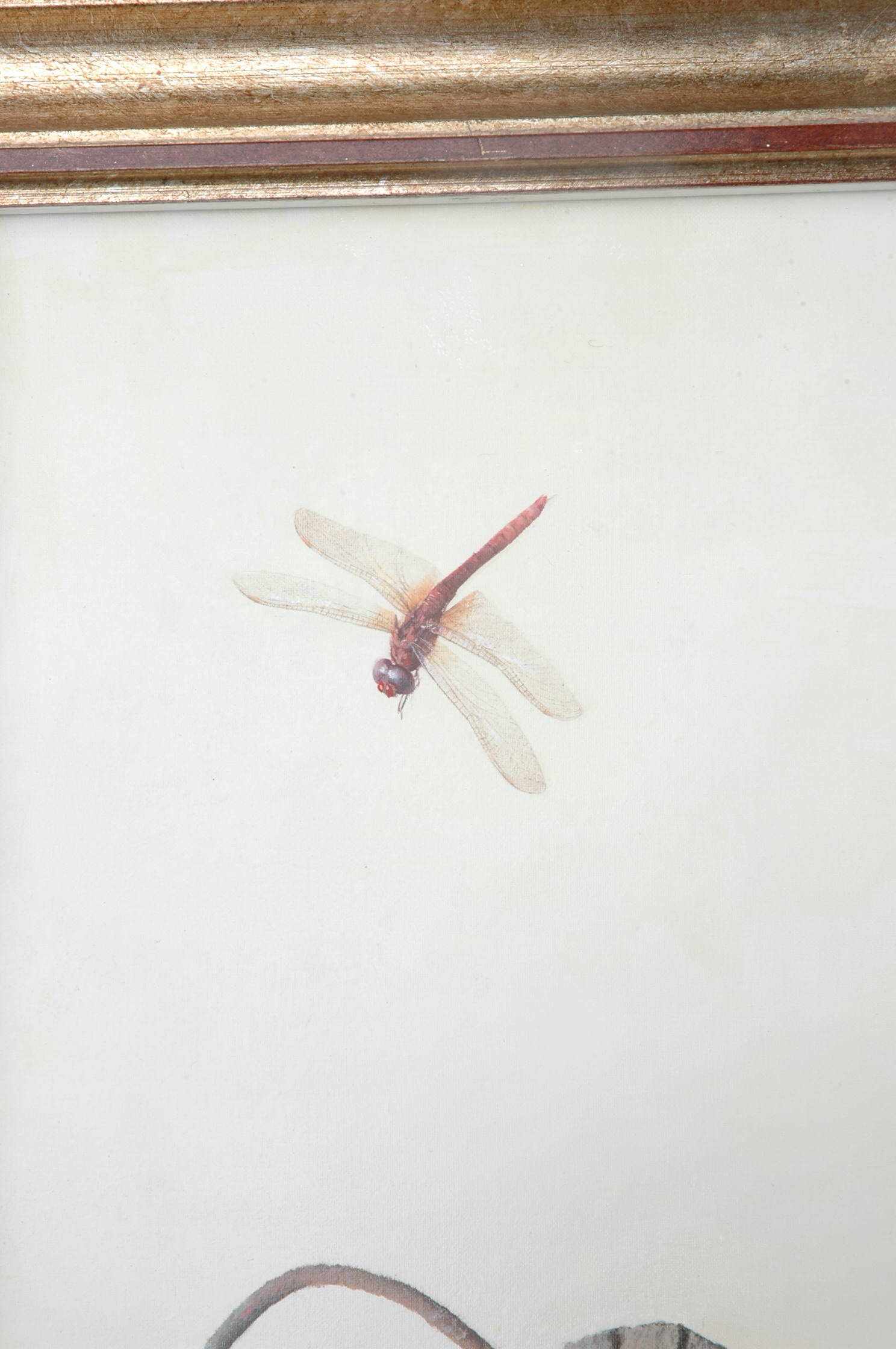 齐白石和冷军画的蜻蜓,冷军pk齐白石蜻蜓