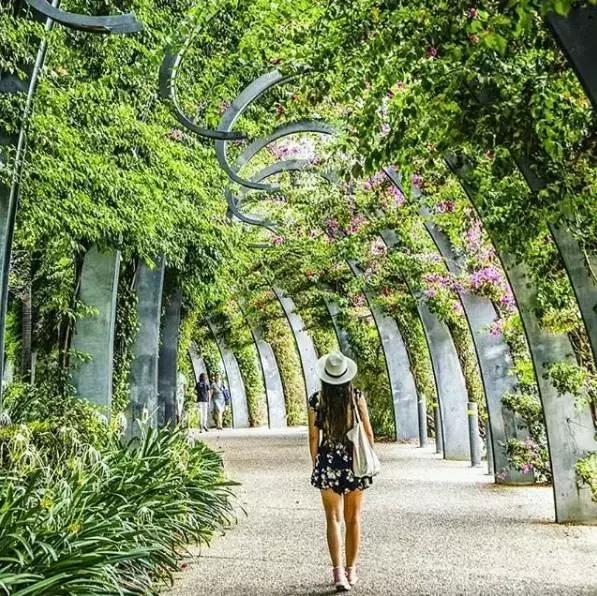 a上帝的宠儿114,上帝的宠儿阅读答案