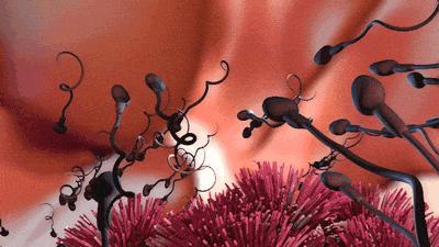 精子质量好坏怎么判断,精子质量好坏怎么判定