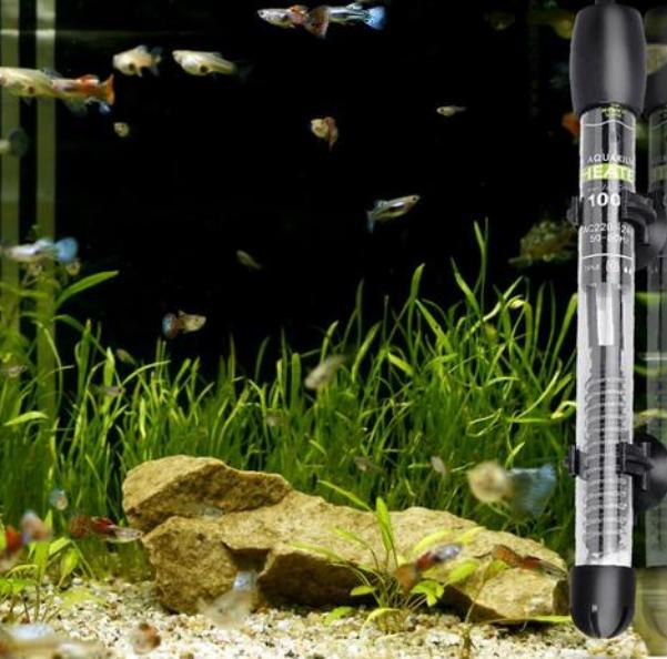 养鱼人的鱼药,水库鱼药的正确使用方法和用量