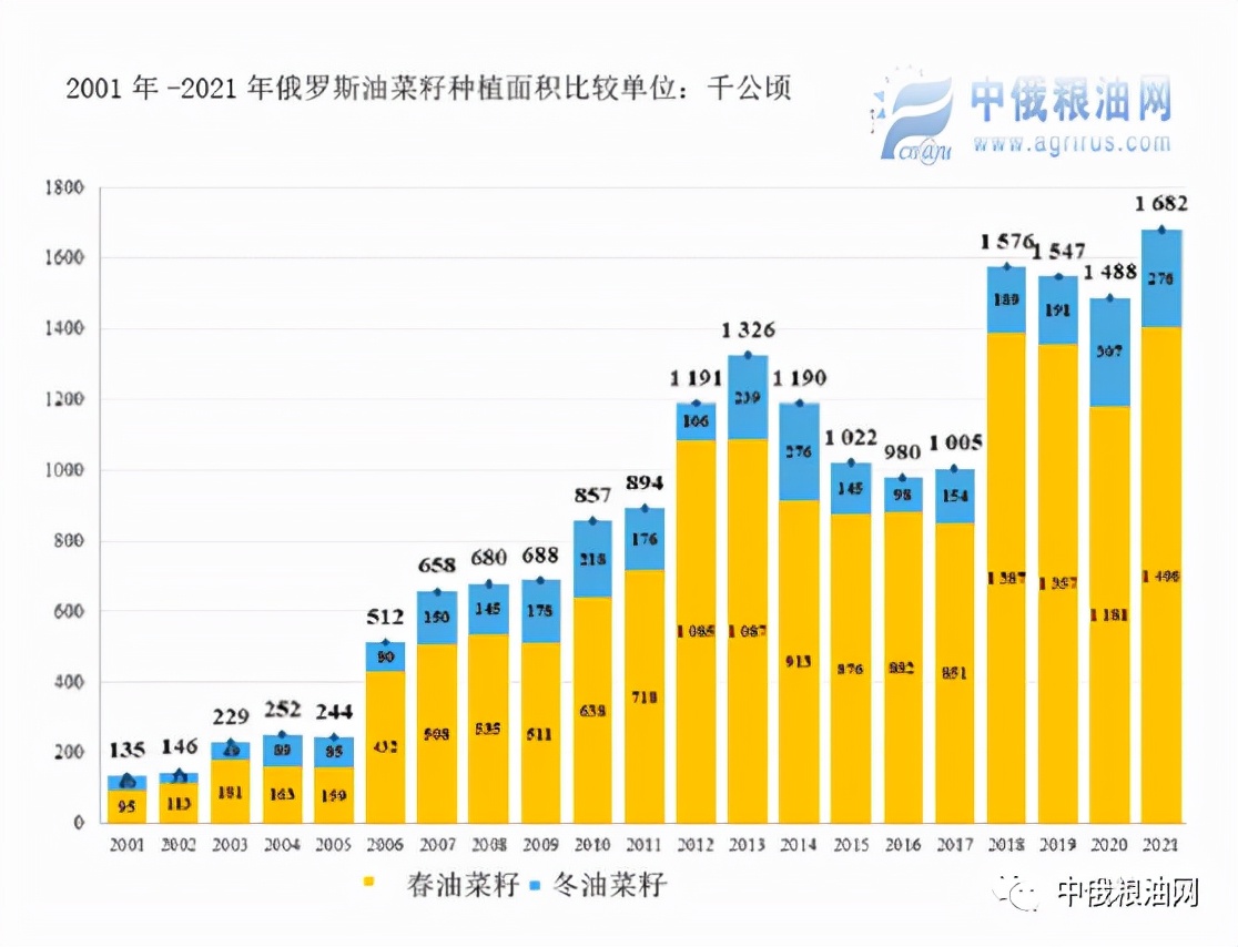 2024俄罗斯油菜籽最新价格,2024俄罗斯油菜籽产量预估