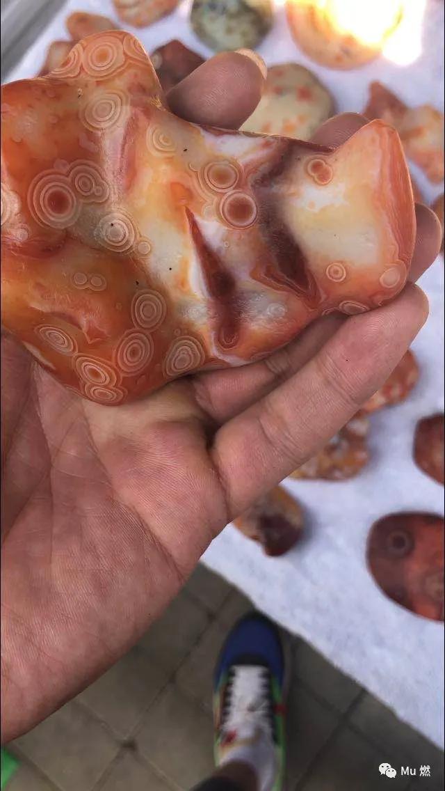 品石之路48章免费阅读,品石之路小说第43章