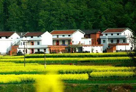 父母去世后宅基地怎么继承,父母去世后宅基地继承怎么办