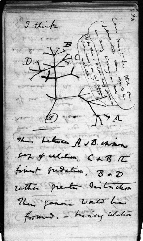 基因潘多拉魔盒,神秘的潘多拉魔盒