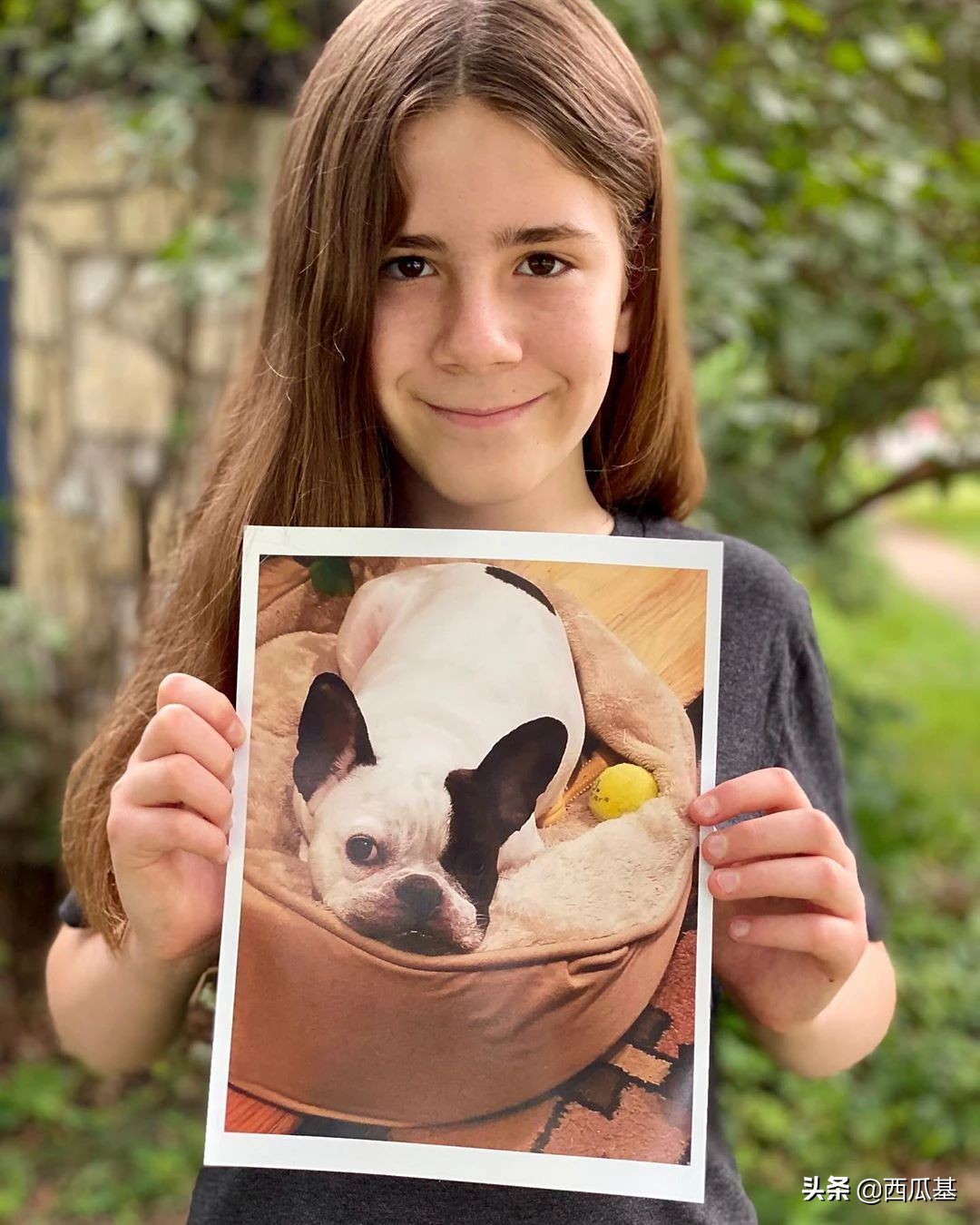 每天摸一只小狗小猫,每天摸一只小猫小狗