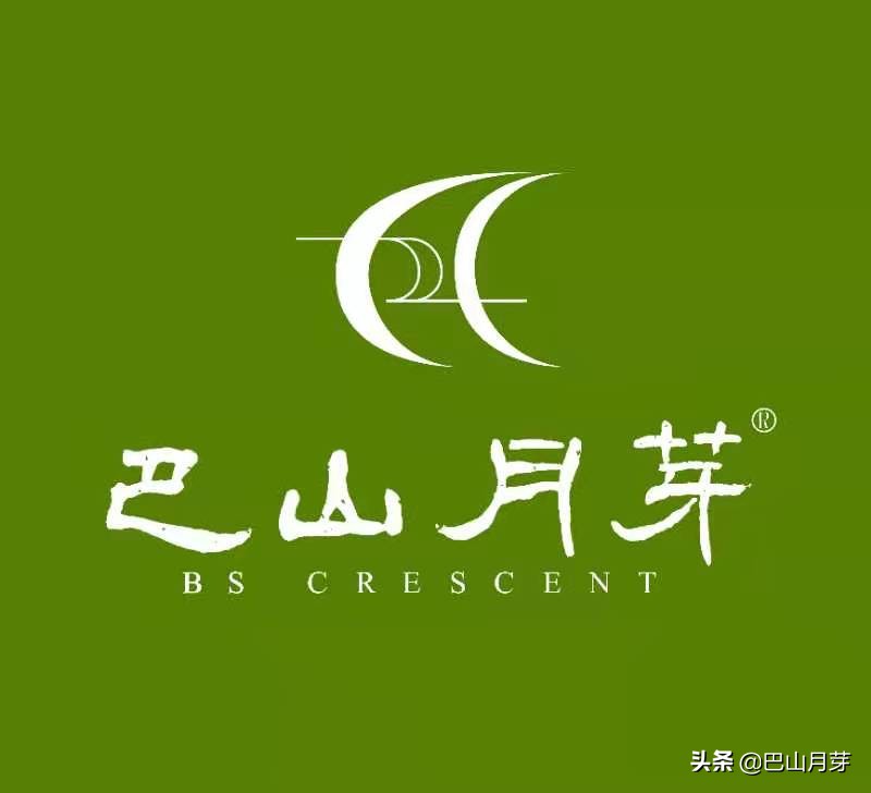 文昌东郊椰林,散文椰子树