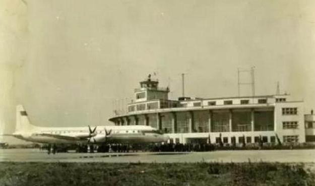 神秘老外上飞机带两只老鼠,神秘老外带两只老鼠出国