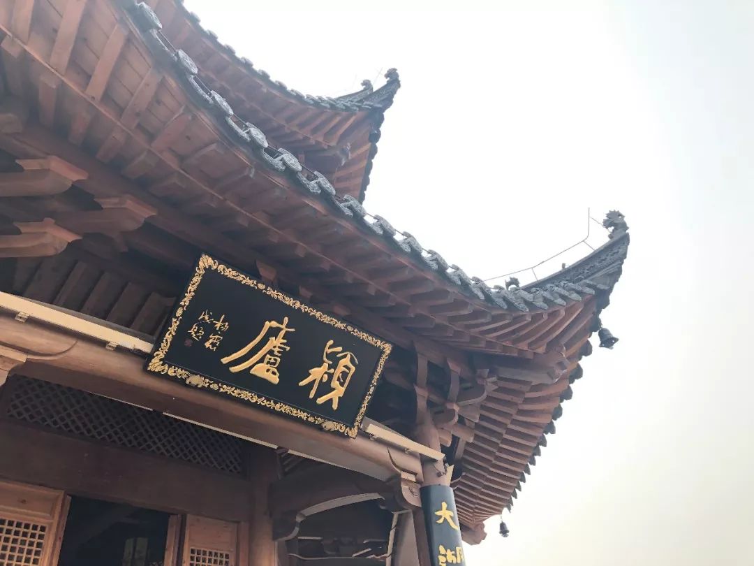 阜城大型公园在哪里,花海剧场区