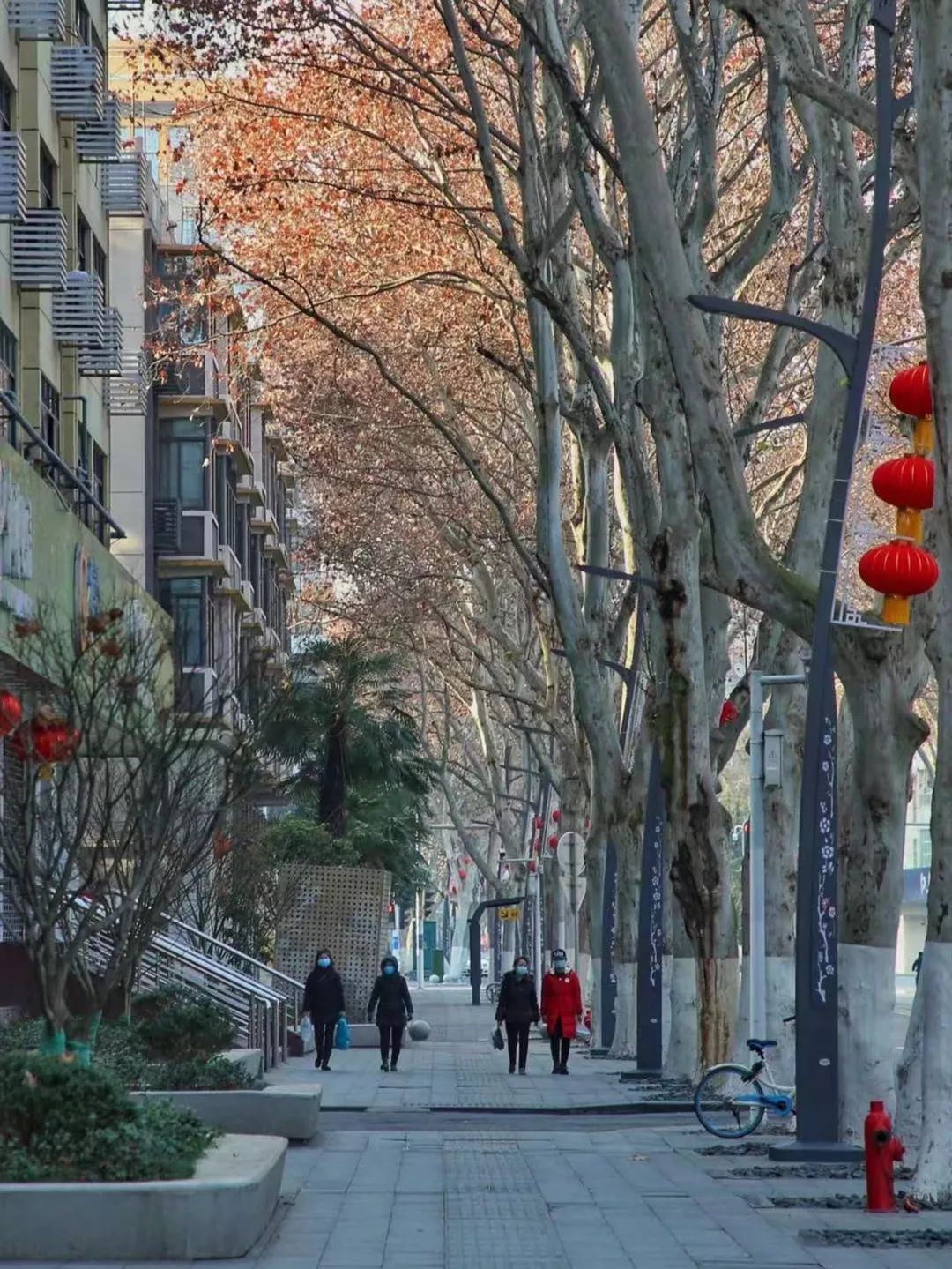 封城11日，武汉众生图