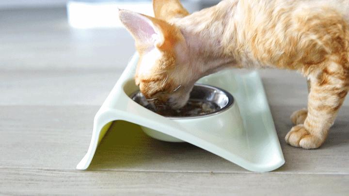 佳尼特冷热一体净水器优缺点,净热一体厨下净水机推荐