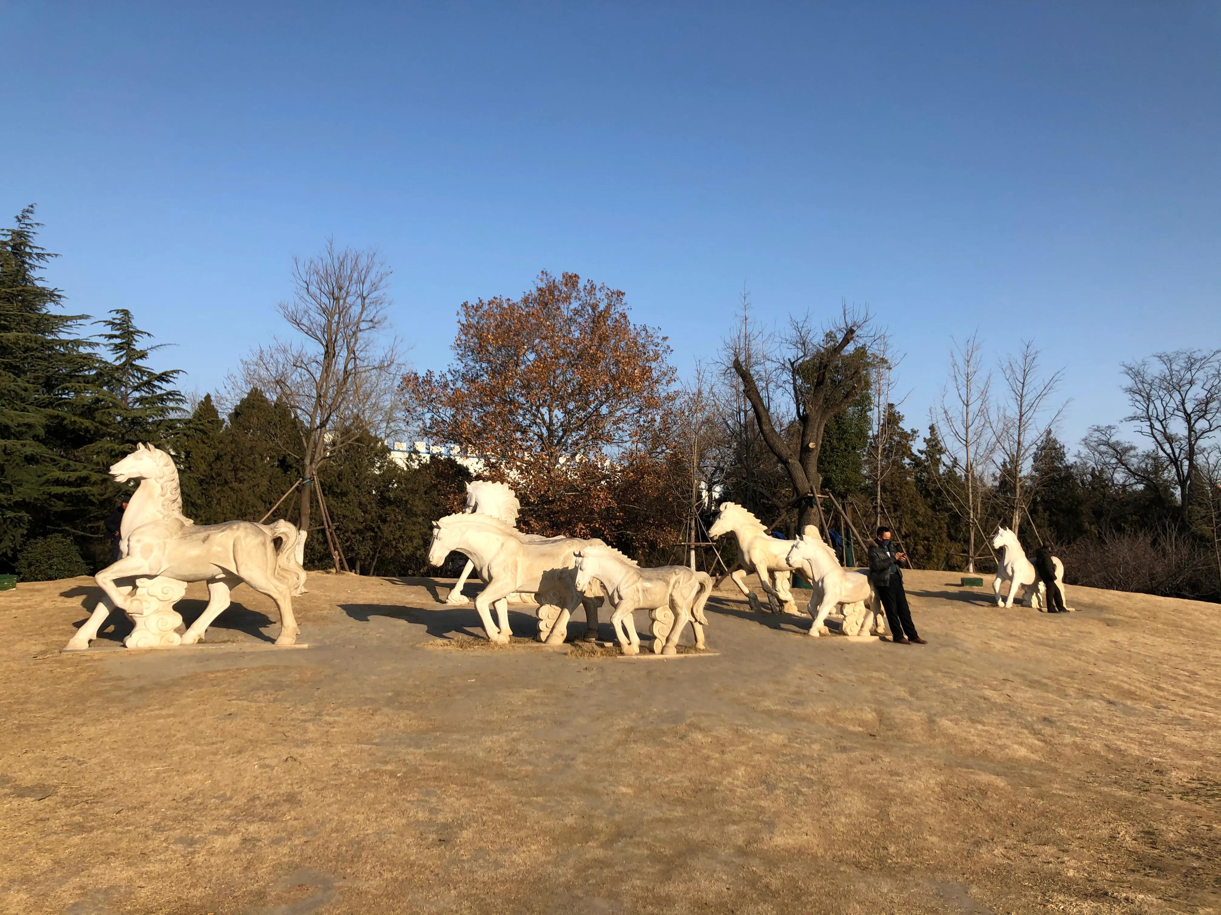 平顶山河滨公园旅游攻略,平顶山森林公园游记