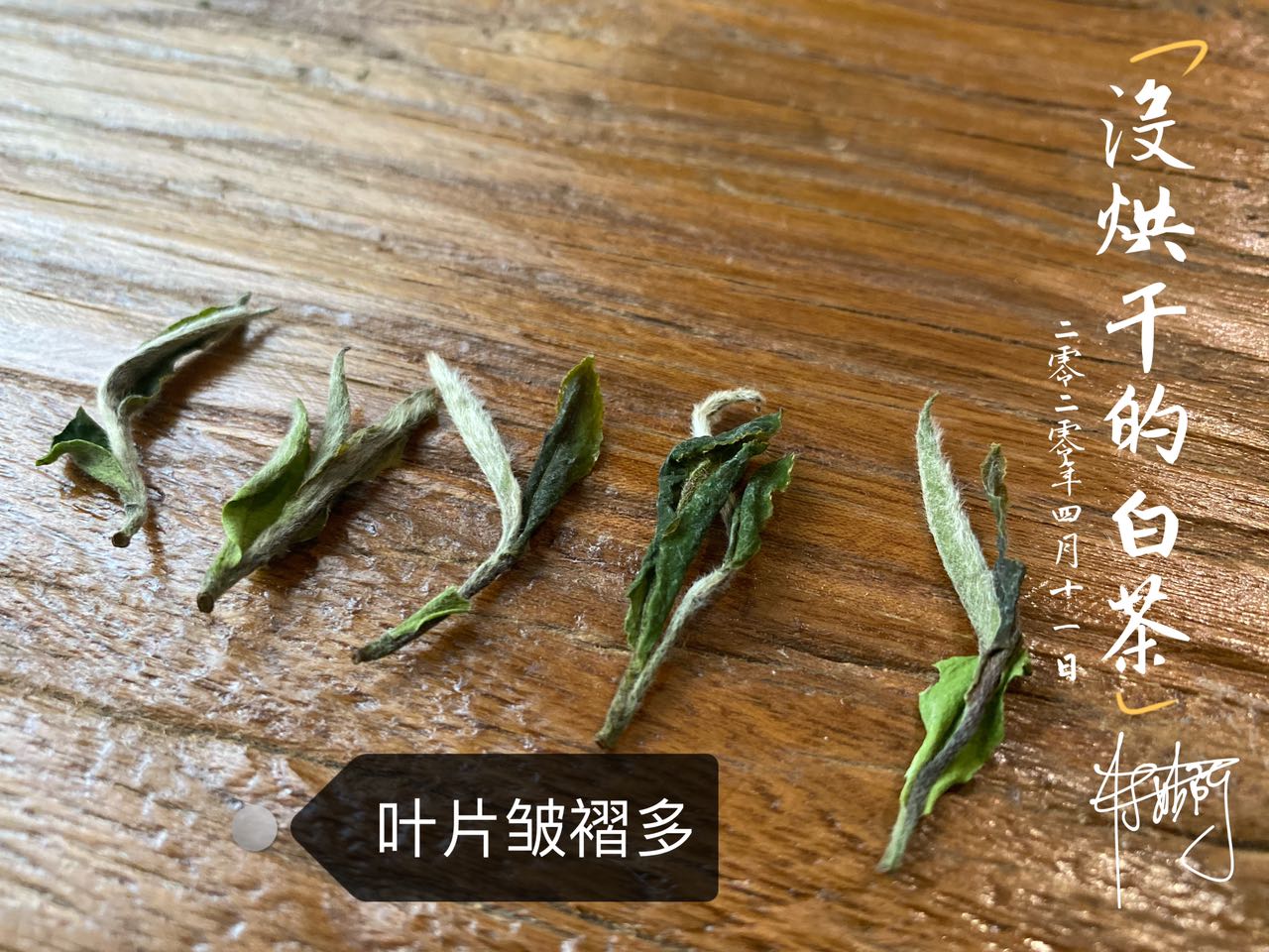 一芽二叶的白牡丹,把芽头取来就是白毫银针,剩下的就是春寿眉?