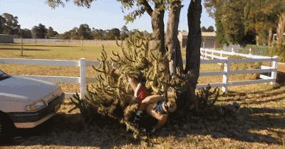 看着都痛的搞笑名场面,看着都痛的搞笑图片