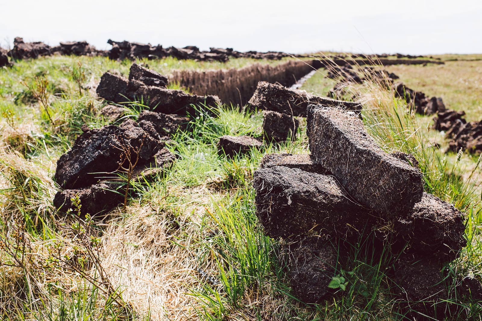 威士忌酿造原料是什么,威士忌酿造方法