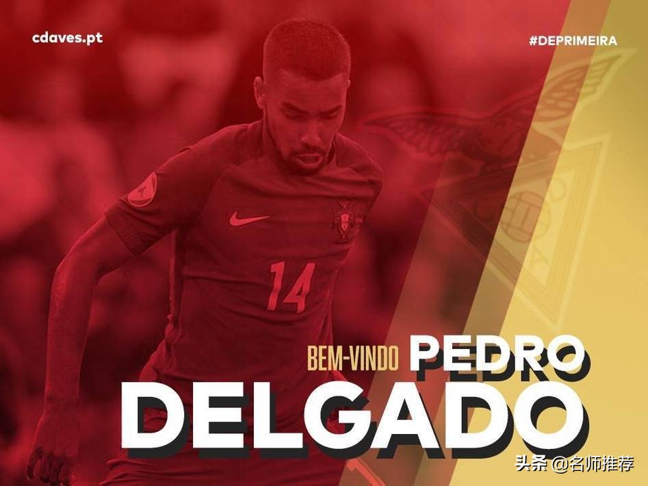 德尔加多来鲁能,德尔加多简介