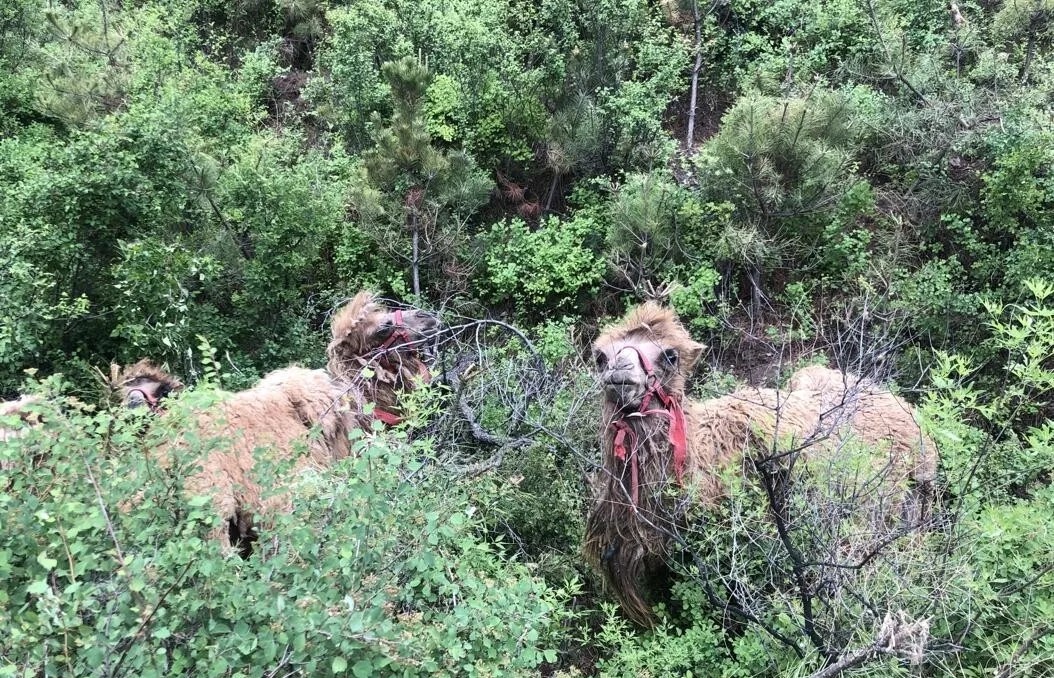 榆次云泉谷景区好玩吗,晋中市云泉谷怎么样