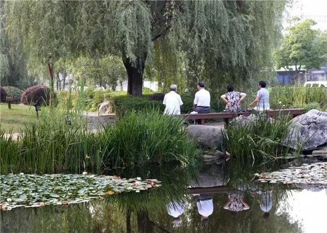 南京哪几个公园免费又好玩,南京莫愁湖公园免费