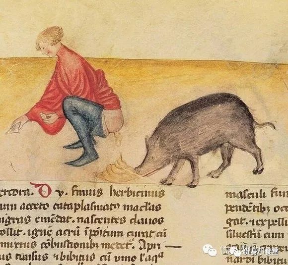 猪年说猪：每人每年吃掉59公斤，你竟然说健身增肌不能吃猪肉？