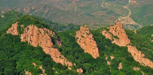 五子良将为什么没有五虎上将有名,五子良将和五虎将谁的战绩更好