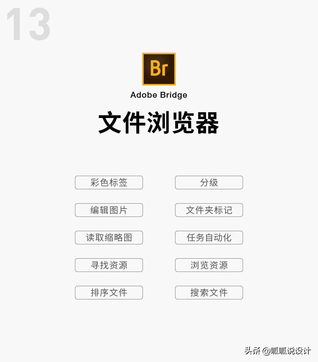 adobe全家桶中的软件都是干什么的,adobe全家桶软件
