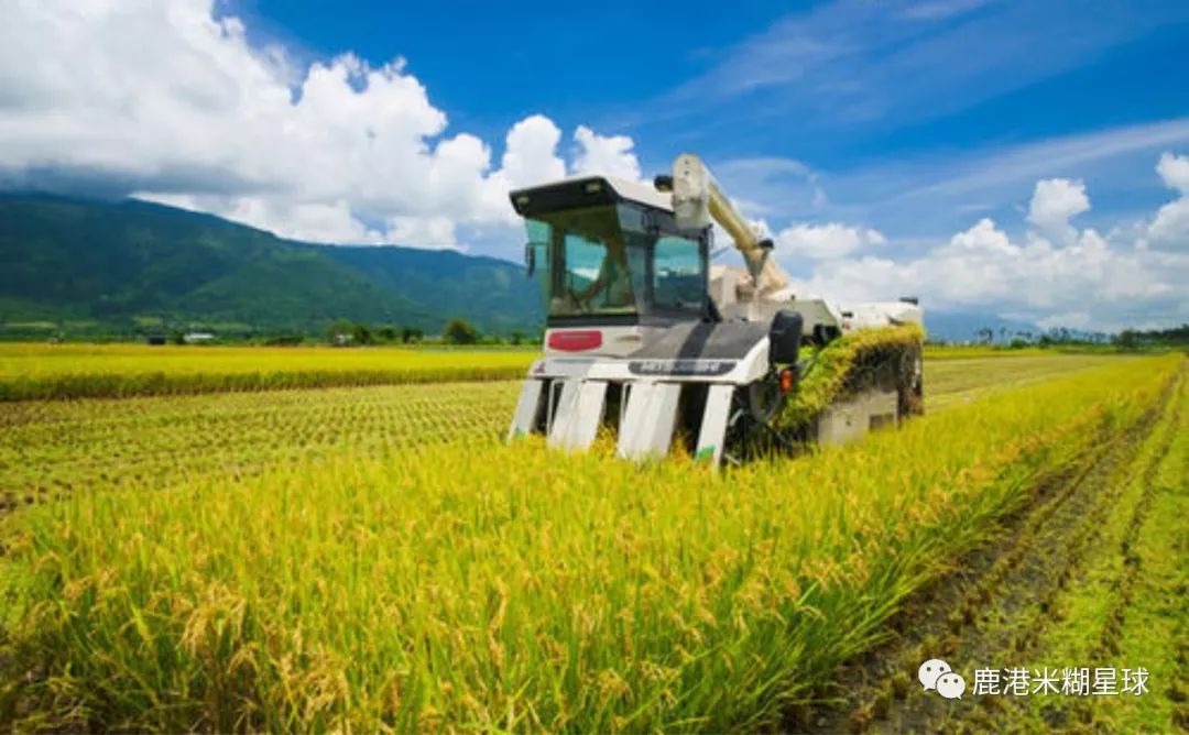 台湾米糊企业向湖北宝宝免费赠送30天米糊