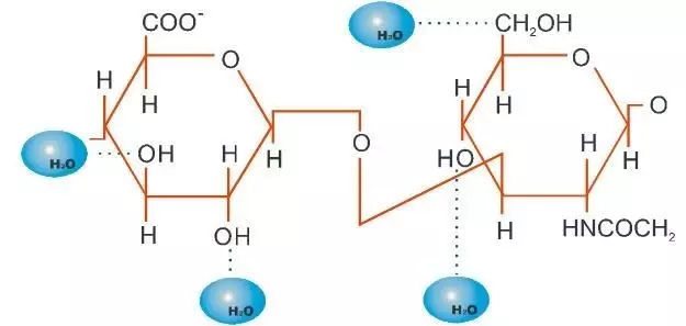 关于玻尿酸这些知识要知道,史上最全玻尿酸知识