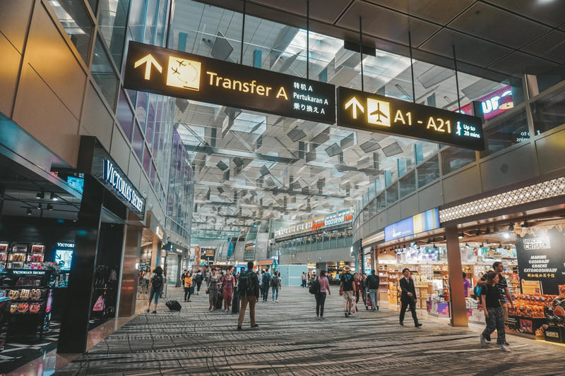 一人一猫环游,一人一猫旅行