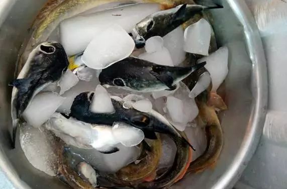 娓旀皯濠氬澶ч,娓旀皯澶娴烽矞澶ч