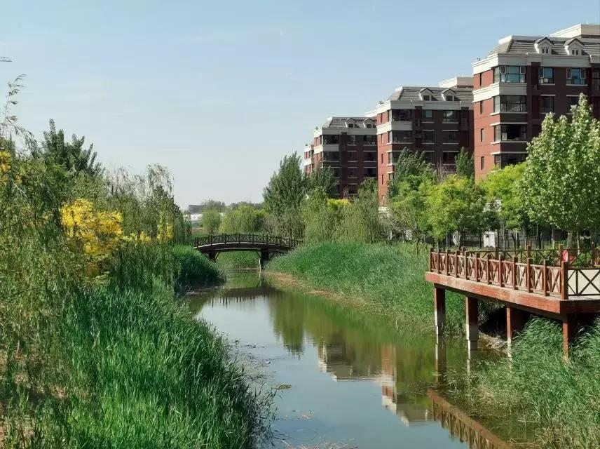 武清热销房子怎么样,公认武清最好的楼盘房价