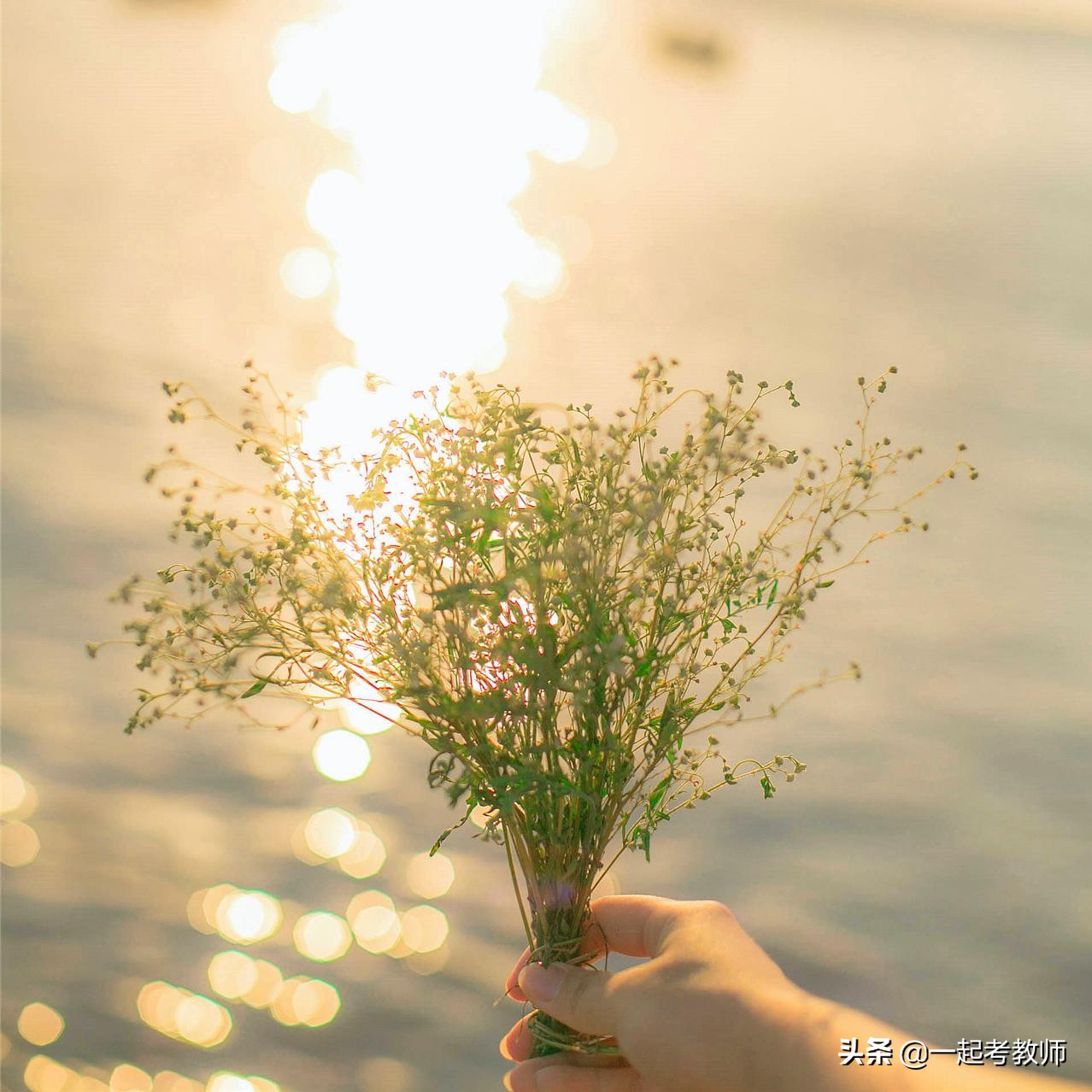 16岁女生在校怀孕：早恋，老师和家长究竟该如何应对