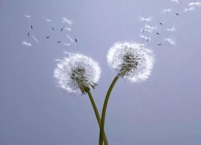 人生和电影一样都是以余味为标准,人生与电影一样都是以余味定输赢