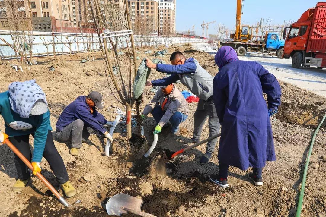 天津津南区葛沽公园,天津津南区葛沽镇体育公园